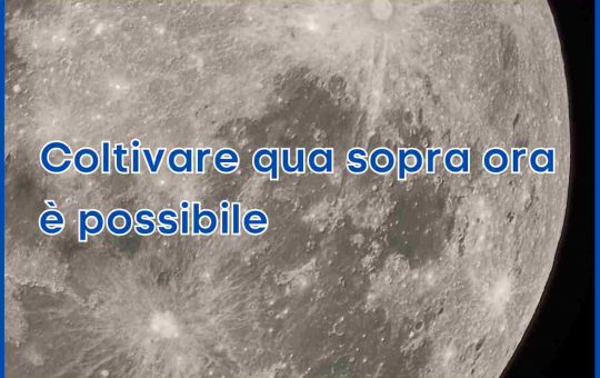 Coltivare Luna