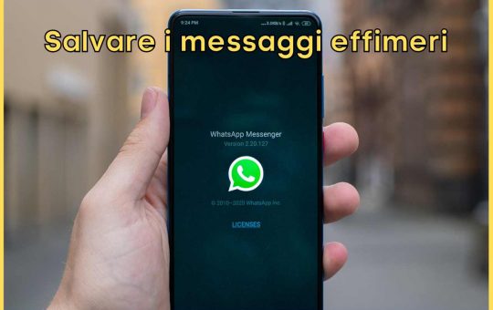 Messaggi Effimeri WhatsApp