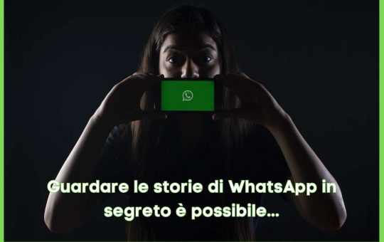 WhatsApp Storie Incognito