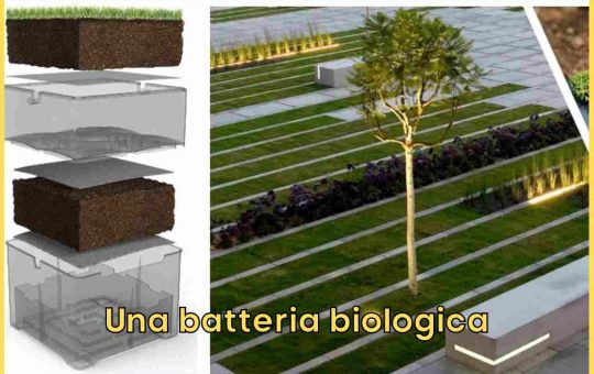 Bioo Batteria Biologica